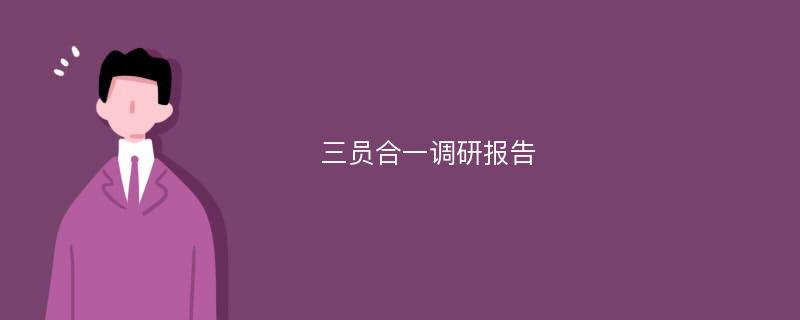 三员合一调研报告