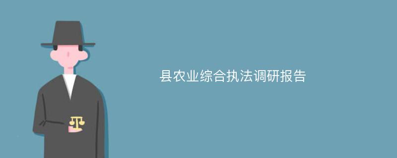 县农业综合执法调研报告