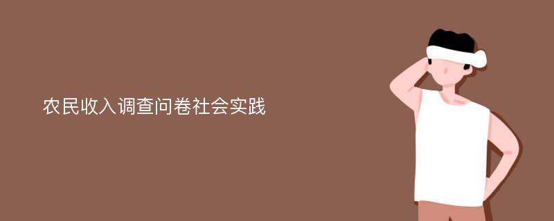 农民收入调查问卷社会实践