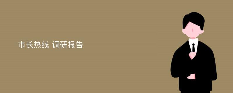 市长热线 调研报告