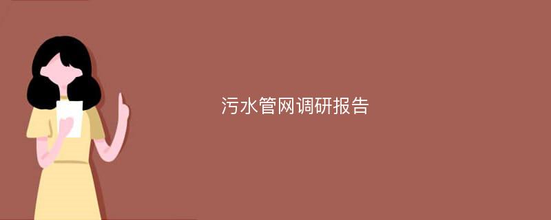 污水管网调研报告