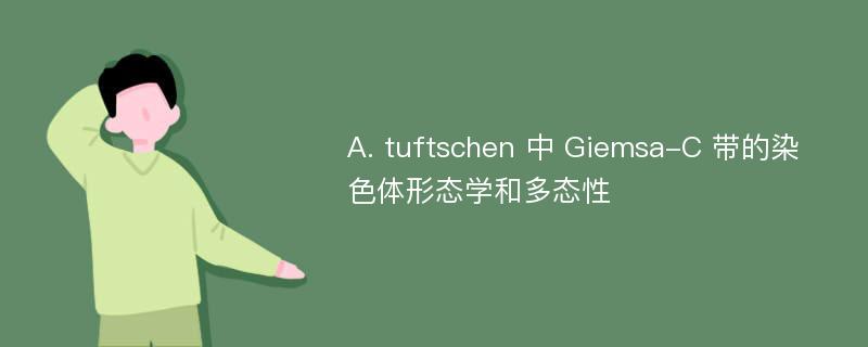 A. tuftschen 中 Giemsa-C 带的染色体形态学和多态性