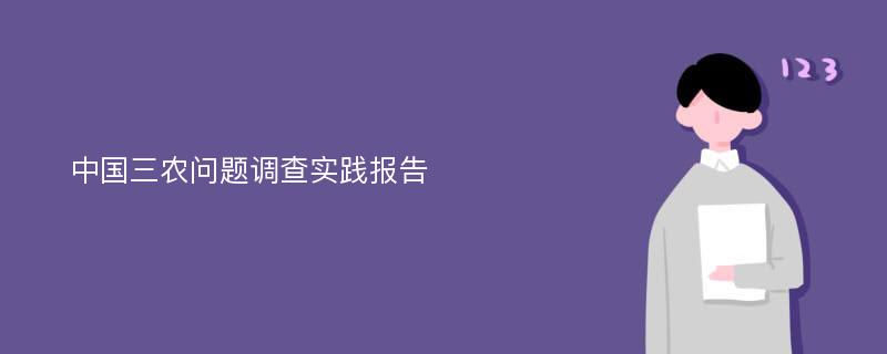 中国三农问题调查实践报告