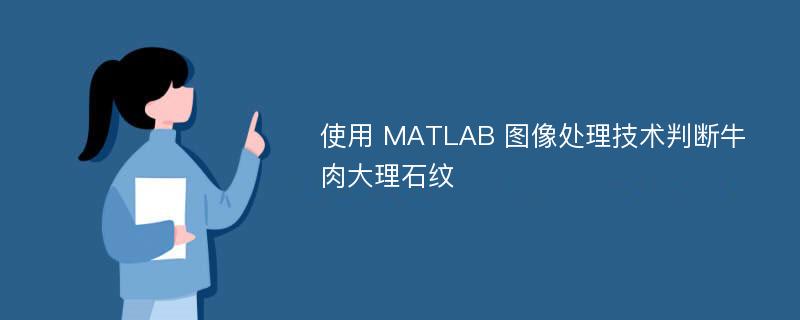 使用 MATLAB 图像处理技术判断牛肉大理石纹