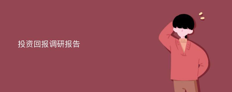 投资回报调研报告