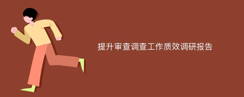 提升审查调查工作质效调研报告