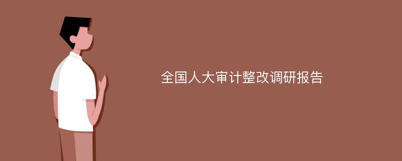 全国人大审计整改调研报告