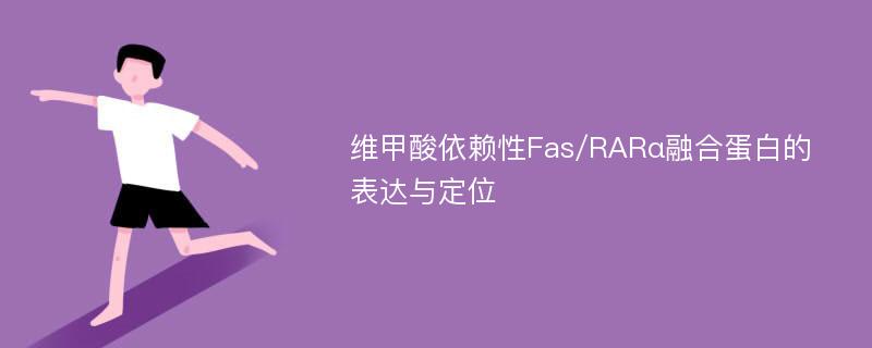 维甲酸依赖性Fas/RARα融合蛋白的表达与定位