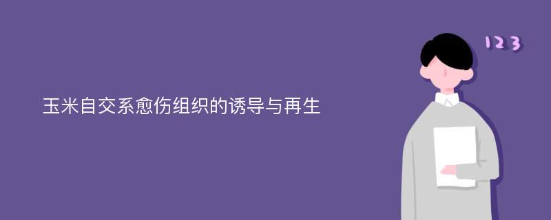 玉米自交系愈伤组织的诱导与再生