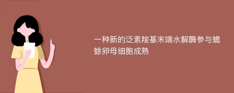 一种新的泛素羧基末端水解酶参与蟾蜍卵母细胞成熟