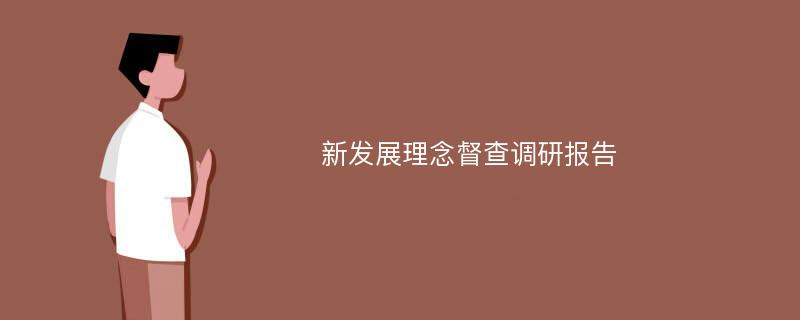 新发展理念督查调研报告