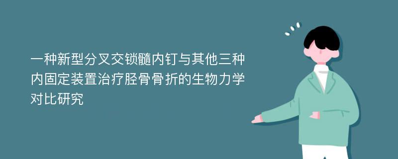 一种新型分叉交锁髓内钉与其他三种内固定装置治疗胫骨骨折的生物力学对比研究