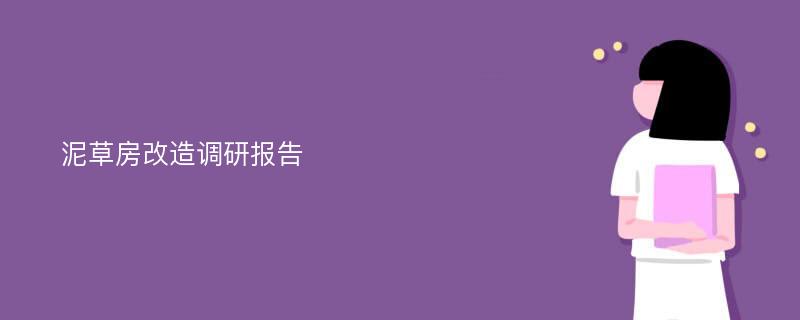 泥草房改造调研报告