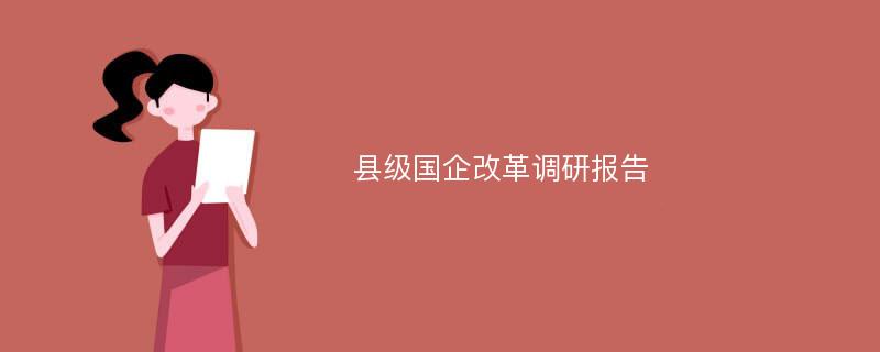 县级国企改革调研报告