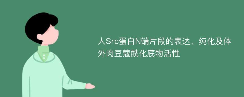 人Src蛋白N端片段的表达、纯化及体外肉豆蔻酰化底物活性