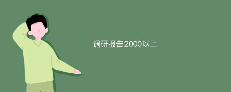 调研报告2000以上