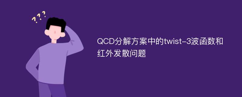 QCD分解方案中的twist-3波函数和红外发散问题